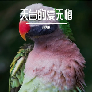 蚀骨的思念 伴奏