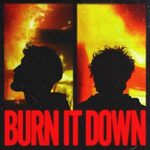 Burn It Down