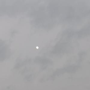 静谧的夜空只有我和你