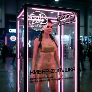 Кибер-Zолушка