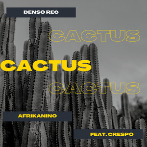 Cactus