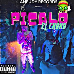 Picalo (feat. Aneudy Record)