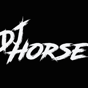 Party last dance（Horse remix）