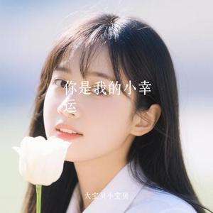 你是我的小幸运