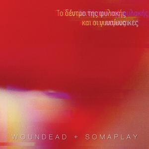 Akinito Dendro (feat. Soma Play)