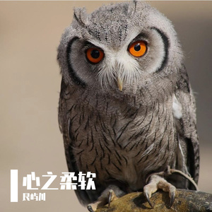 心之柔软
