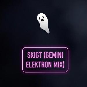 skigt (Gemini Elektron Mix)