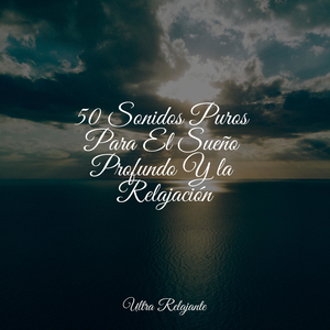 Relajaciones Con Viento Madera