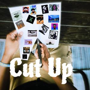 Cut up