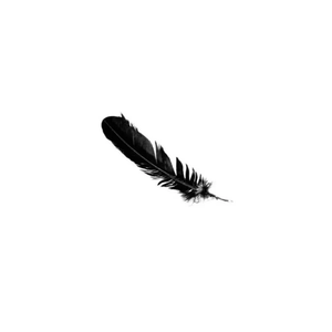 Feather
