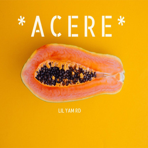 Acere