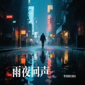 雨夜回声