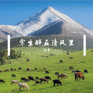余生醉在清风里