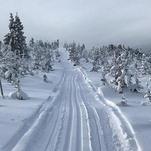 Åk själv (Pop Version)