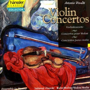 Violin Concerto in D Minor, Op. 9 No. 8, RV 238: I. Allegro