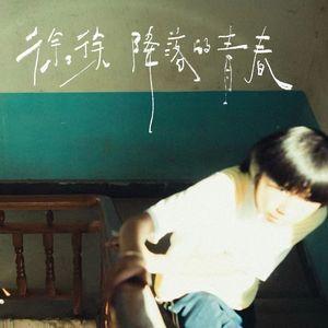 徐徐降落的青春