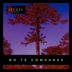 No Te Compares