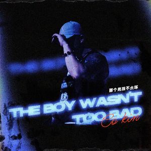 那个男孩不太坏