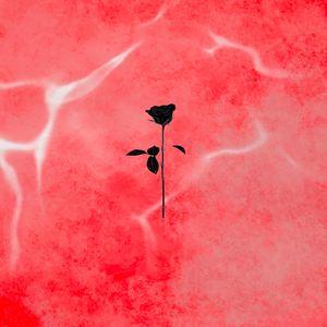 Echoes of the Unseen