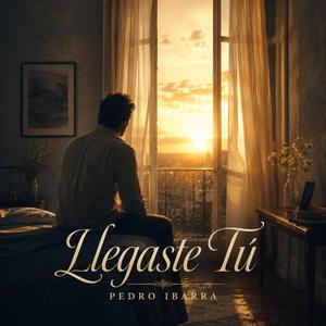 Llegaste Tú