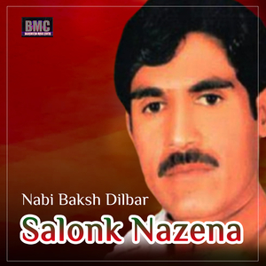 Salonk Nazena