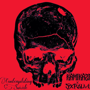 Contemplating Suicide