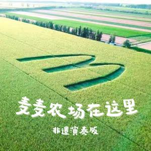 麦麦农场在这里