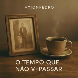 O Tempo Que Não Vi Passar