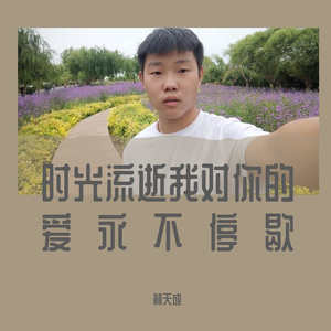 时光流逝我对你的爱永不停歇