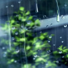 情似飞沙 (沙漠版)