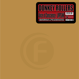 Voice Of Conscience (Original Mix)