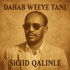 Dahab Weeye Tani