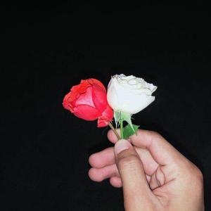 Yusuf Ekşioğlu-Majnun Nabudam/Vilolin（kurban official remix）