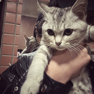 我的歌声里remix（罗小余 remix）