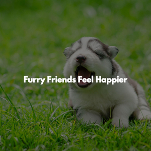 Friendly (Finding Headspace)