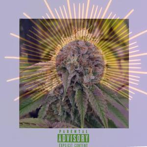 Kokon (feat. Dr $lime, Black Mamba & Dollar Cruiz)