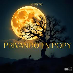 PRIVANDO EN POPY