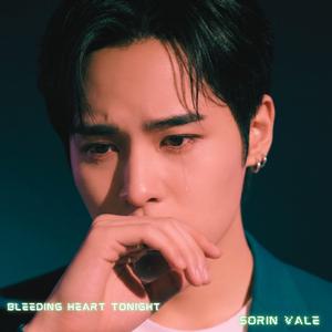 Echoes of Your Goodbye