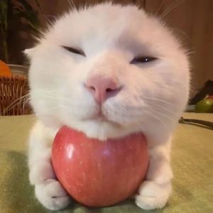 爱就一个字(女生版)