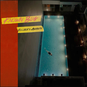Algorithms (feat. Sungazers)