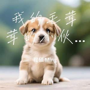 我的毛茸茸的小伙伴