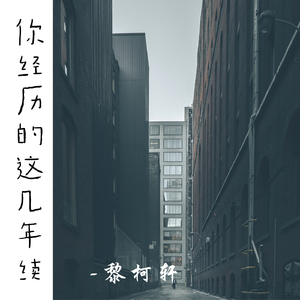 你经历的这几年续