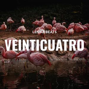 Veinticuatro