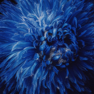 언덕길 위 번진 노을