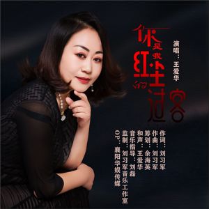 你是我红尘的过客 (DJ版)