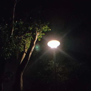 你和夏天，一起来了