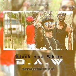 B.A.W (feat. HMZ)