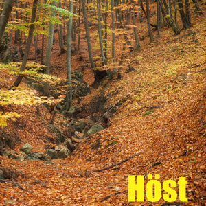 Höst