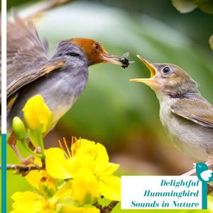 Gentle Sound of the Stream