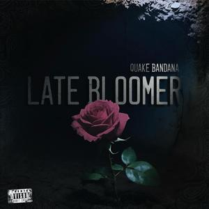 Bandana (feat. Ghost Bandana)